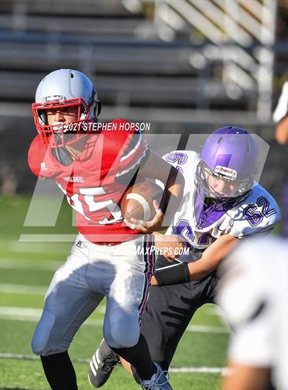 Thumbnail 3 in Tokay @ Lincoln photogallery.