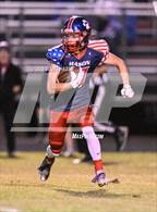 Photo from the gallery "Williamston @ Mason"