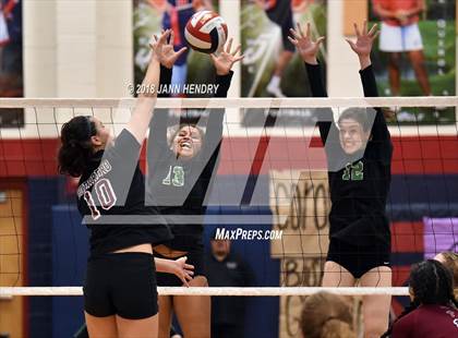 Thumbnail 1 in Palo Verde vs. Faith Lutheran (Nevada Mountain Division Final) photogallery.