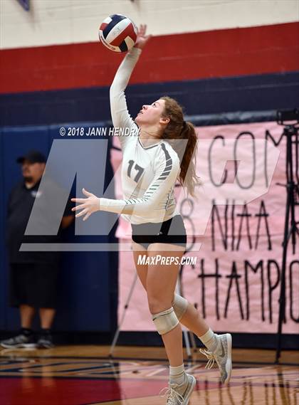 Thumbnail 3 in Palo Verde vs. Faith Lutheran (Nevada Mountain Division Final) photogallery.