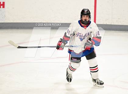 Thumbnail 3 in Masuk @ Fairfield Warde/Ludlowe photogallery.