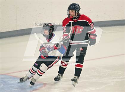 Thumbnail 3 in Masuk @ Fairfield Warde/Ludlowe photogallery.