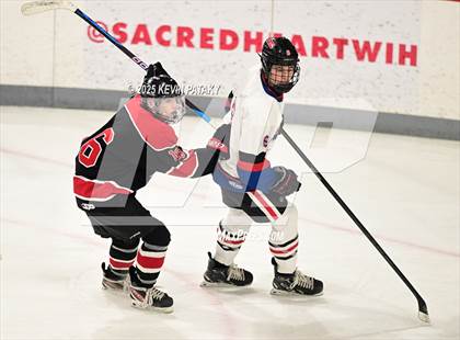 Thumbnail 1 in Masuk @ Fairfield Warde/Ludlowe photogallery.