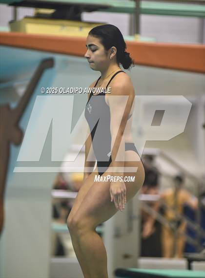 Thumbnail 1 in UIL 6A Swimming & Diving Finals photogallery.