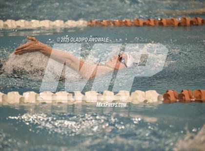 Thumbnail 1 in UIL 6A Swimming & Diving Finals photogallery.