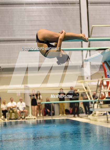 Thumbnail 1 in UIL 6A Swimming & Diving Finals photogallery.