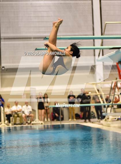 Thumbnail 2 in UIL 6A Swimming & Diving Finals photogallery.