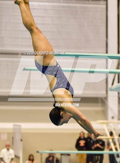 Thumbnail 2 in UIL 6A Swimming & Diving Finals photogallery.