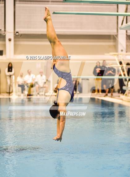 Thumbnail 1 in UIL 6A Swimming & Diving Finals photogallery.