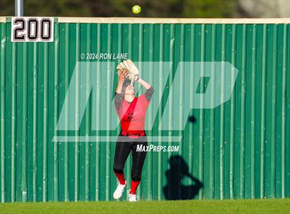 Thumbnail 1 in Purcell @ Mustang photogallery.
