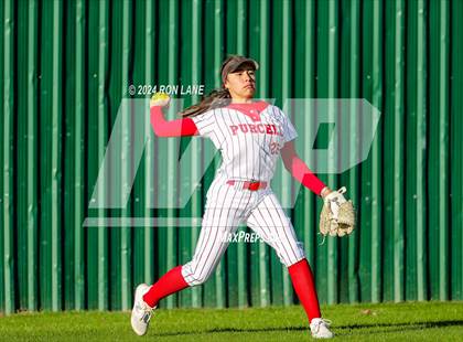 Thumbnail 2 in Purcell @ Mustang photogallery.