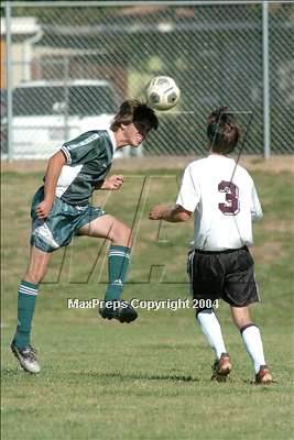 null - Photo 01