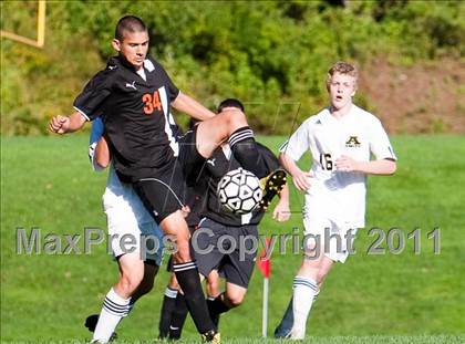 Thumbnail 1 in Shelton @ Amity photogallery.
