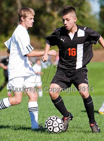 Thumbnail 1 in Shelton @ Amity photogallery.