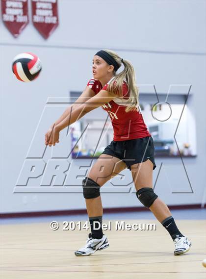 Thumbnail 2 in Out-of-Door Academy @ Tampa Bay HEAT photogallery.