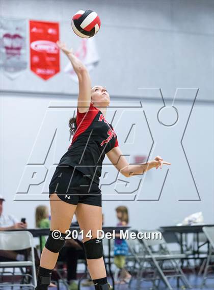 Thumbnail 2 in Out-of-Door Academy @ Tampa Bay HEAT photogallery.
