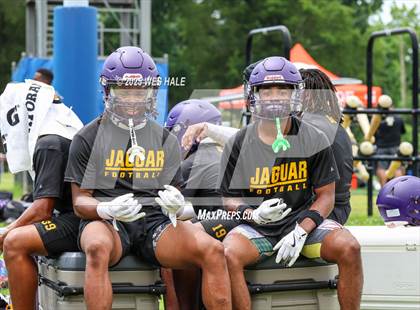 Thumbnail 1 in DeSoto Central vs Southaven (U of Memphis 7v7) photogallery.