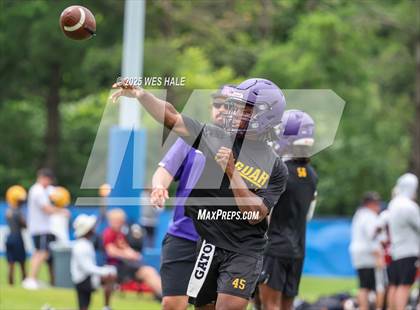 Thumbnail 1 in DeSoto Central vs Southaven (U of Memphis 7v7) photogallery.