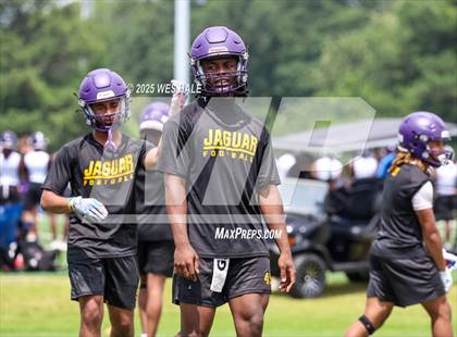 Thumbnail 2 in DeSoto Central vs Southaven (U of Memphis 7v7) photogallery.