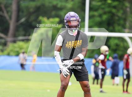 Thumbnail 1 in DeSoto Central vs Southaven (U of Memphis 7v7) photogallery.