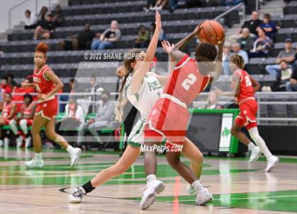Thumbnail 1 in Terrell @ Caddo Mills photogallery.