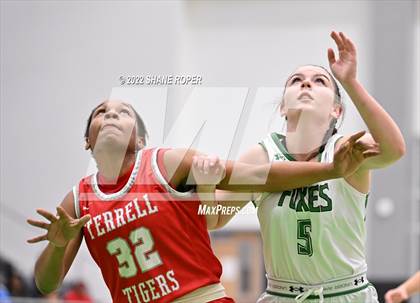 Thumbnail 1 in Terrell @ Caddo Mills photogallery.
