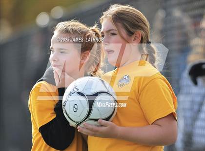 Thumbnail 1 in Penfield @ Greece Athena (NYSPHSAA Section V Class AA Quarterfinal) photogallery.