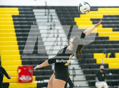 Thumbnail 2 in Garner Magnet @ Apex photogallery.