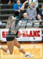 Photo from the gallery "Flushing vs. Romeo (MHSAA Division 1 Regional Semifinal)"