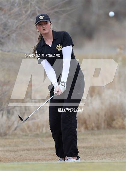 Thumbnail 3 in Continental League (Spring Valley Ranch) photogallery.