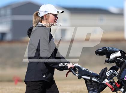 Thumbnail 3 in Continental League (Spring Valley Ranch) photogallery.