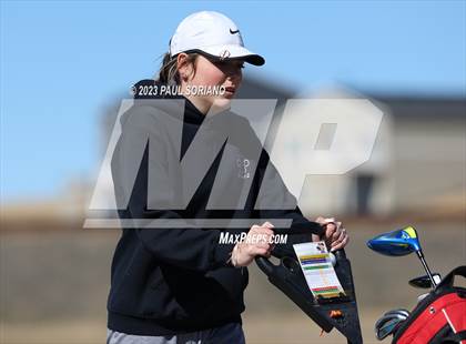 Thumbnail 2 in Continental League (Spring Valley Ranch) photogallery.