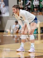 Photo from the gallery "Rampart @ Pine Creek"