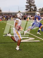 Photo from the gallery "Saint Francis @ Serra"