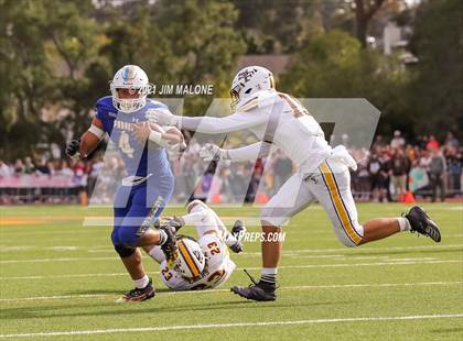 Thumbnail 3 in Saint Francis @ Serra photogallery.