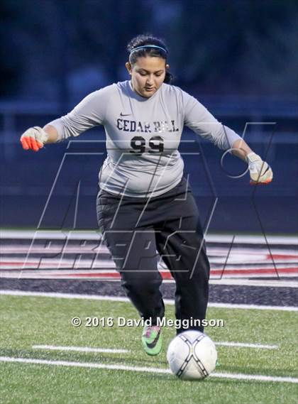 Thumbnail 1 in DeSoto @ Cedar Hill photogallery.