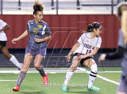Thumbnail 3 in DeSoto @ Cedar Hill photogallery.
