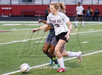 Thumbnail 1 in DeSoto @ Cedar Hill photogallery.