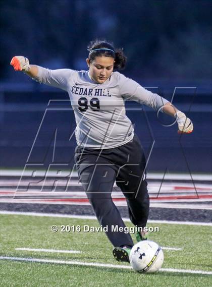 Thumbnail 2 in DeSoto @ Cedar Hill photogallery.