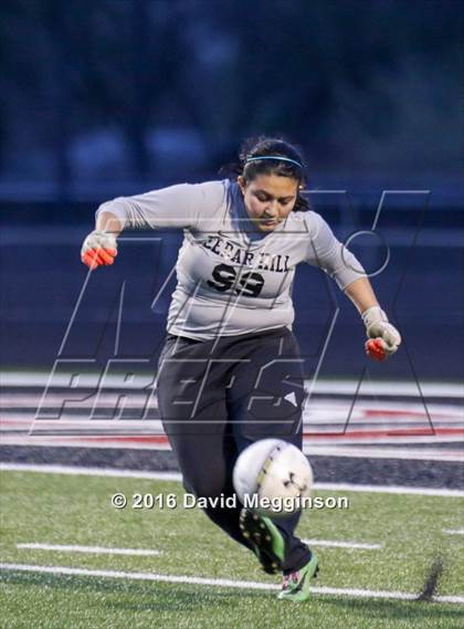 Thumbnail 3 in DeSoto @ Cedar Hill photogallery.