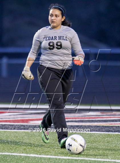Thumbnail 1 in DeSoto @ Cedar Hill photogallery.