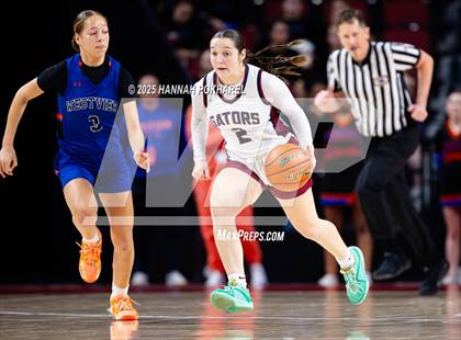 Thumbnail 2 in Lincoln North Star vs. Westview (NSAA Class A Quarterfinal) photogallery.