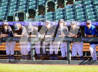 Thumbnail 2 in ThunderRidge vs Grandview (Coors Field) photogallery.
