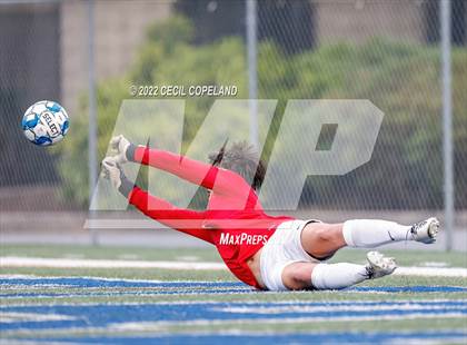 Thumbnail 1 in St. Pius X Catholic vs. Johnson (GHSA 5A Championship) photogallery.
