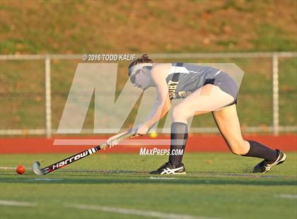 Thumbnail 1 in Simsbury @ Glastonbury photogallery.