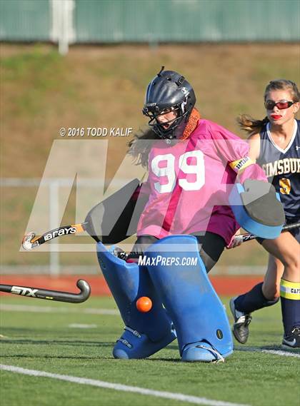 Thumbnail 3 in Simsbury @ Glastonbury photogallery.