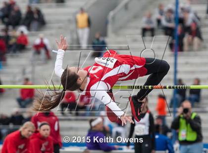 Thumbnail 3 in 2015 Drake Relays photogallery.