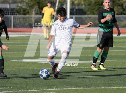 Thumbnail 3 in Homestead vs Prospect (CIF CCS D1 Quarterfinal) photogallery.