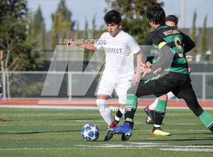 Thumbnail 2 in Homestead vs Prospect (CIF CCS D1 Quarterfinal) photogallery.