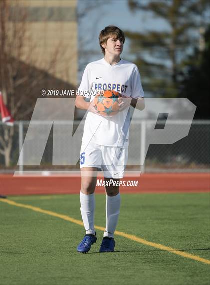 Thumbnail 2 in Homestead vs Prospect (CIF CCS D1 Quarterfinal) photogallery.